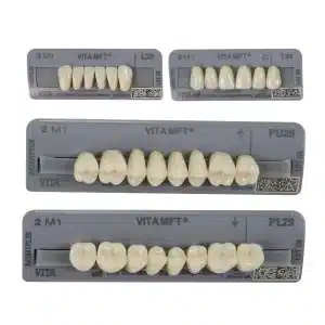 Vita MFT Denture Teeth 2M1 (Set of 28)
