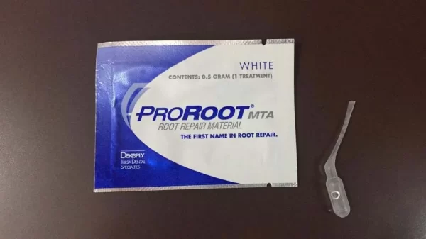 Dentsply Proroot MTA 0.5 Gm - Image 2