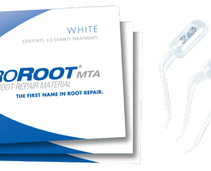 Dentsply Proroot MTA Root Repair Material 0.5 Gm